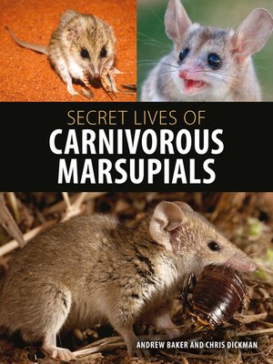 cover image of Secret Lives of Carnivorous Marsupials